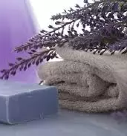 Izdelki iz sivke primorska