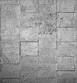 Izgradnja podpornih zidov obala