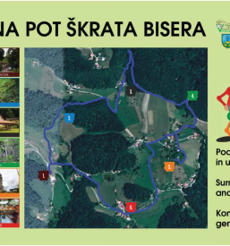 Izleti po vinski gori