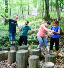 Izobrazevanje odraslih z motnjo v dusevnem razvoju ljubljana