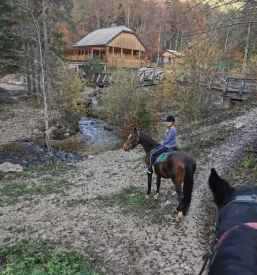 Jahalna sola gorenjska