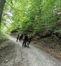 Jahalna sola gorenjska