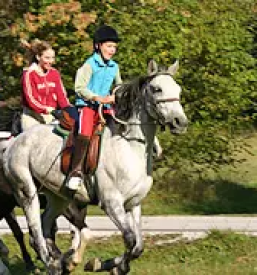 Jahalna sola na gorenjskem