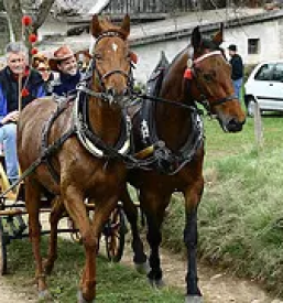 Jahalna sola na gorenjskem