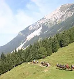 Jahalna sola na gorenjskem