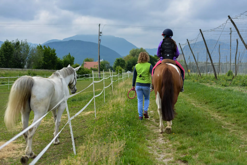 Jahanje konj za odrasle Celje, Savinjska regija