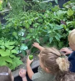 Javni vrtec Vrhnika, vrtec nasmehov