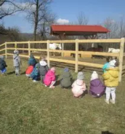 Zanesljiv javni vrtec Vrhnika