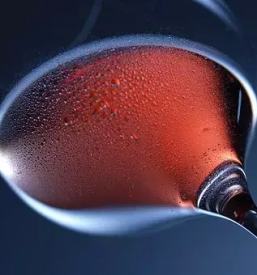 Kakovostna vina primorska