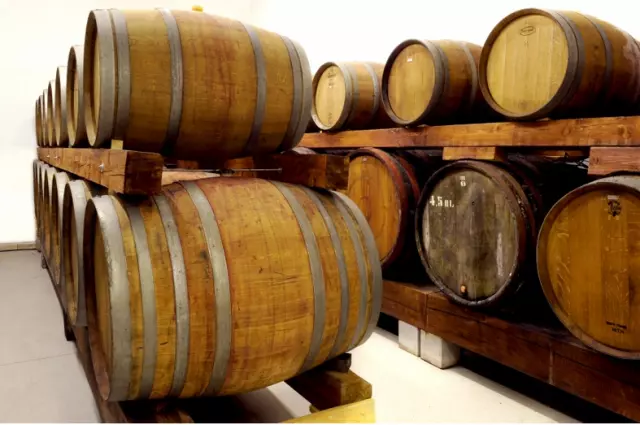 Kakovostna vina Vipavska