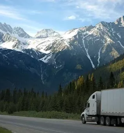 Kamionski prevoz blaga v avstrijo in nemcijo