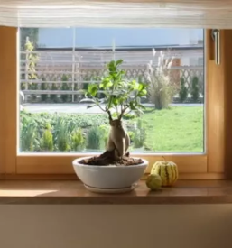 Kamnite police ljubljana osrednja slovenija