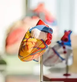 Obiščite našo kardiološka ambulanta