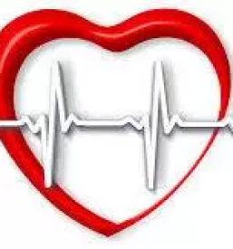 Kardioloski pregledi stajerska