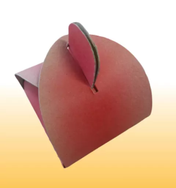 Kartonska embalaza gorenjska