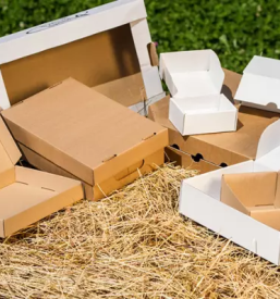 Kartonska embalaza osrednja slovenija