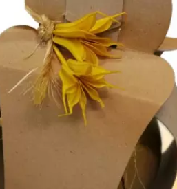 Kartonska embalaza slovenija