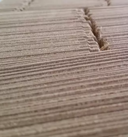 Kartonska embalaza v sloveniji