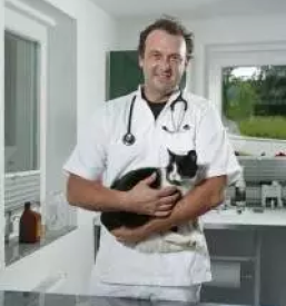 Kastracija mackov dolenjska