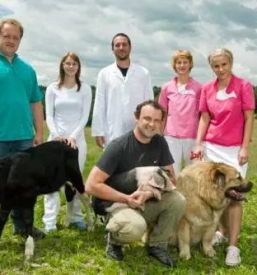 Kastracija mackov dolenjska