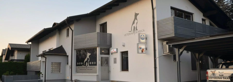 Kirurgija za male živali Murska Sobota