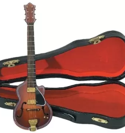 Električne kitare Gorenjska