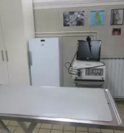 Veterinarska klinika Nova Gorica