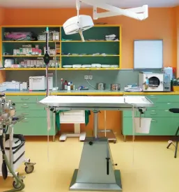 Poceni klinika za male živali Ljubljana, Šiška
