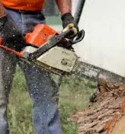 Kmetijska mehanizacija dolenjska