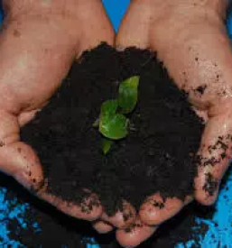 Kmetijska zadruga trgovina grosuplje