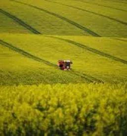 Kmetijska zadruga trgovina grosuplje