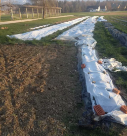 Kmetijske delavnice za otroke ljubljana