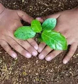 Kmetijski repro material grosuplje