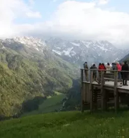 Kolektivna znamka destinacije