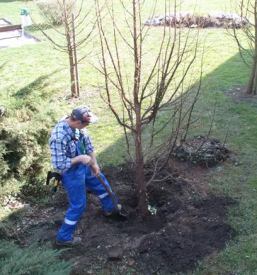 Komunalne storitve lasko