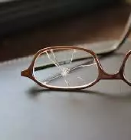 Korekcijska ocala slovenske konjice