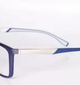 Korekcijska ocala slovenske konjice