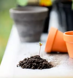 Kosnja trave stajerska