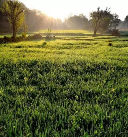 Krajinska arhitektura stajerska