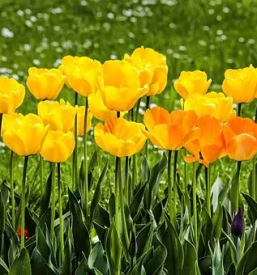 Krajinska arhitektura stajerska