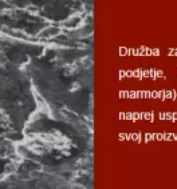 Kvaliteten kamnosek na primorskem