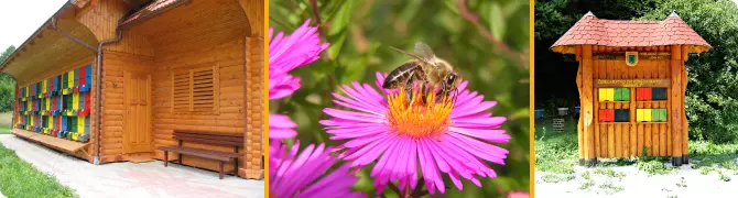 Kvaliteten med v Sloveniji
