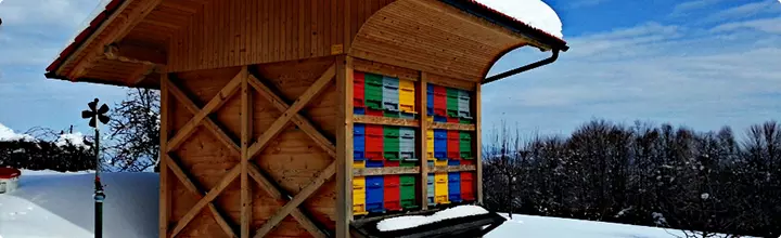 Najbolj kvaliteten med v Sloveniji 