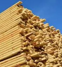 Kvaliteten razrez hlodovine dolenjska