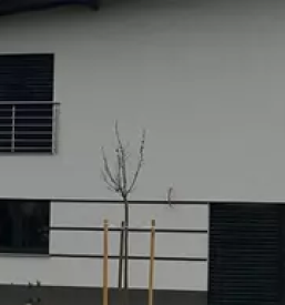 Kvaliteten slikopleskar 