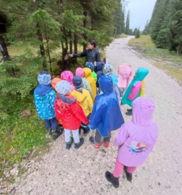 Kvaliteten vrtec ljubljana