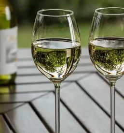 Kvalitetna bela vina vipavska dolina
