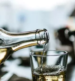 Kvalitetna bela vina Vipavska dolina, Goriška