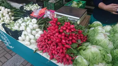 Kvalitetna domača zelenjava Maribor