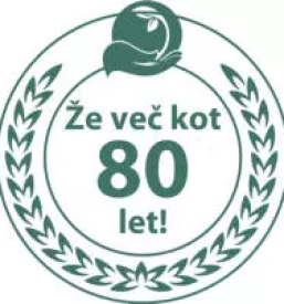 Kvalitetna kleparska dela osrednja slovenija